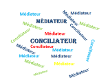 medi concil